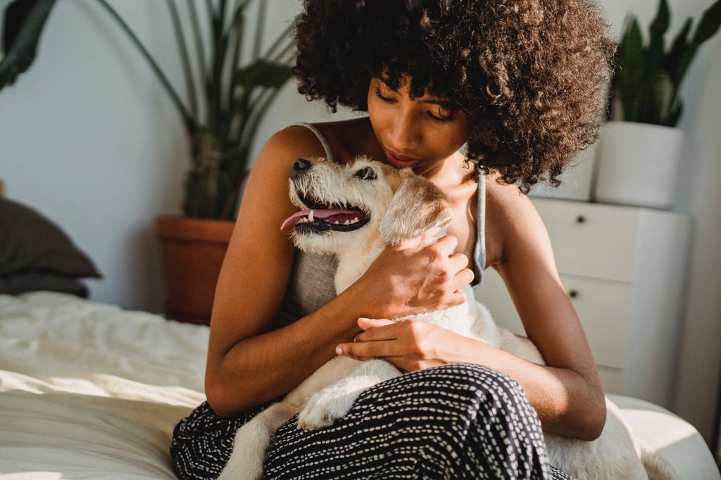 crop black woman caressing dog on bed in sunlight